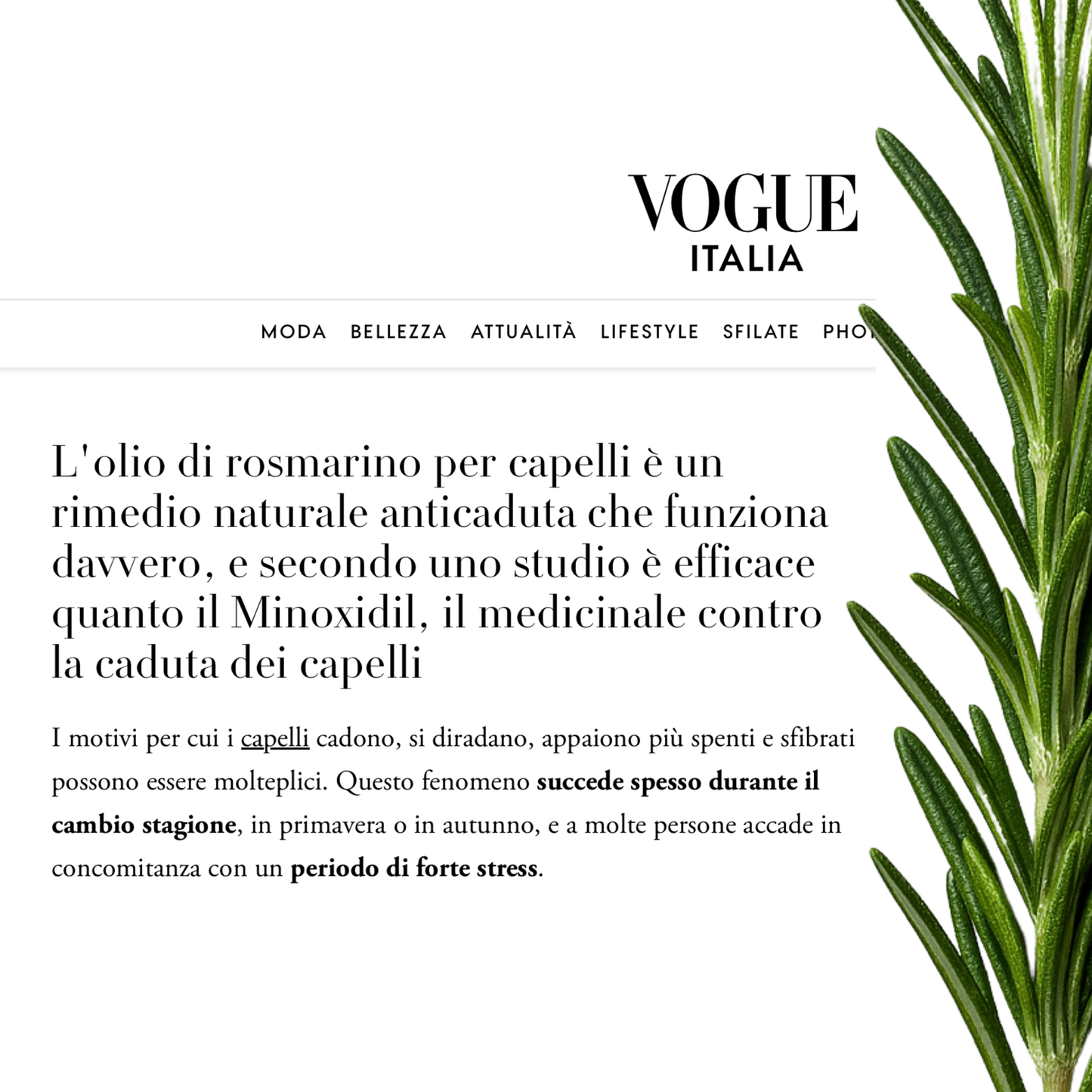 Rosmhair Oil Trattamento 6 mesi - rinforzante e anticaduta per capelli e cuoio capelluto