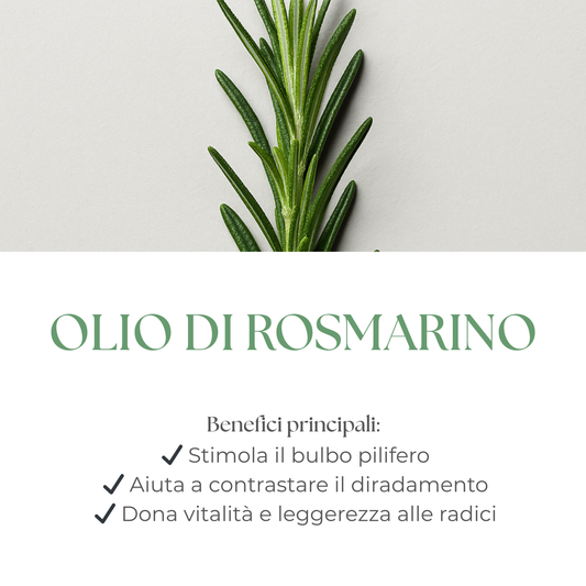 Rosmhair Oil & Hair Monoil - Kit oli per cuoio capelluto e lunghezze