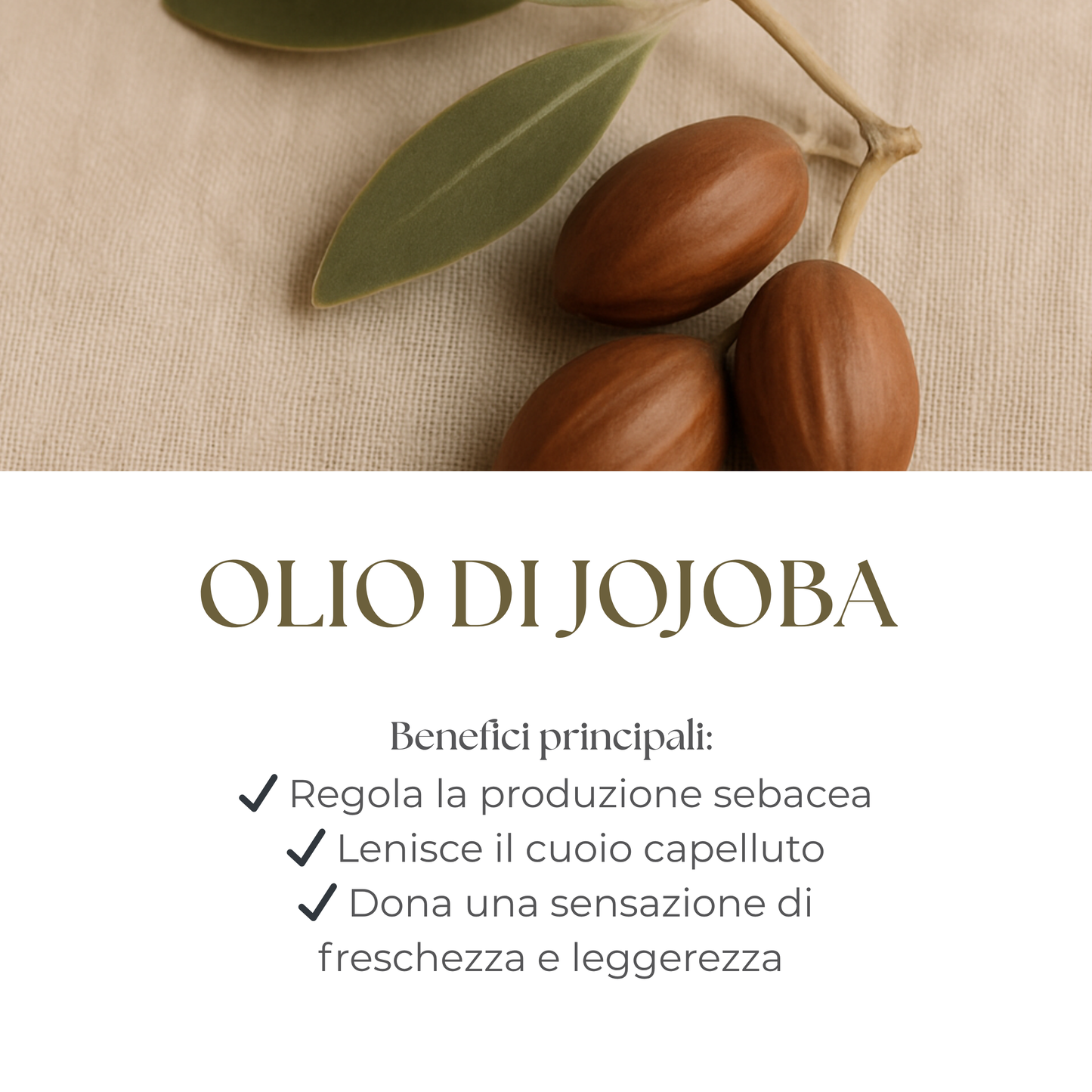Hair Monoil - olio per le lunghezze