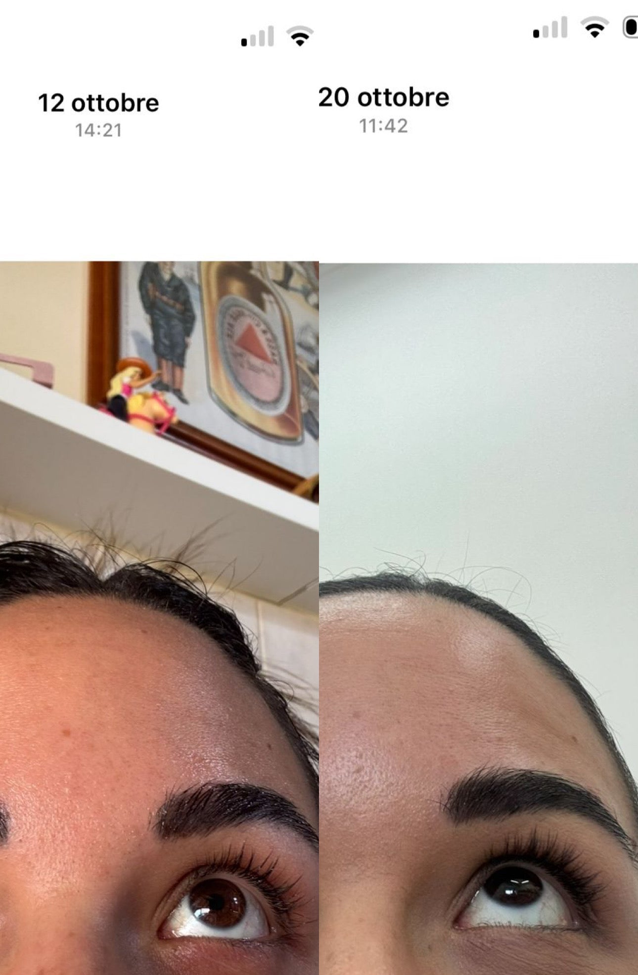 Rosmhair Lash & Brows - trattamento nutriente per la ricrescita di ciglia e sopracciglia